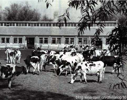 工业革命——世界工业化三百周年回眸(二十)(非常有价值)