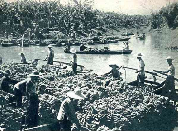 老照片:农业学大寨,旧貌换新颜,大寨精神美名扬