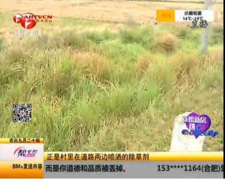  安徽一农家的羊一只接一只死亡, 原来真凶是……