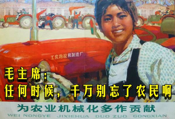 毛主席：任何时候，千万别忘了农民啊