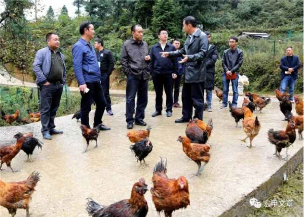 《半月谈》访问周建琨