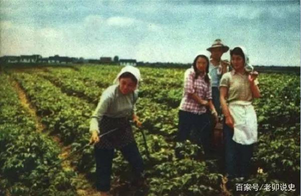 广阔天地，大有可为——记录当年知青下乡生活的珍贵彩色老照片