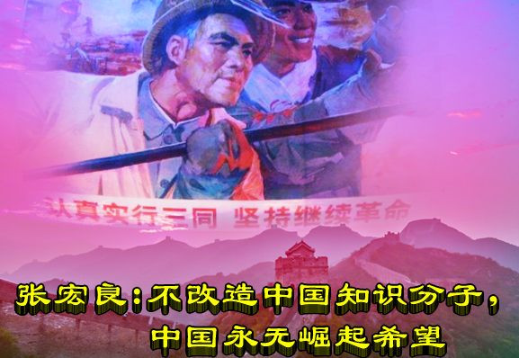 张宏良：不改造中国知识分子，中国永无崛起希望