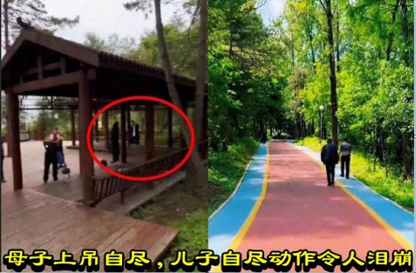母子上吊自尽，儿子自尽动作令人泪崩