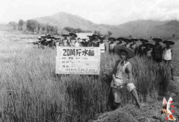 中华民族的子孙应当知道的关于毛主席的十四个谬论