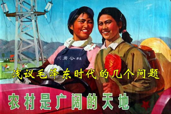 春华秋实：浅议毛泽东时代的几个问题