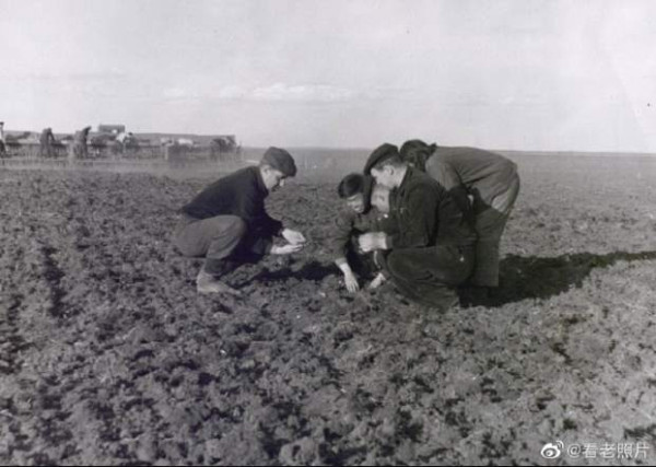 1950年代,农业合作化