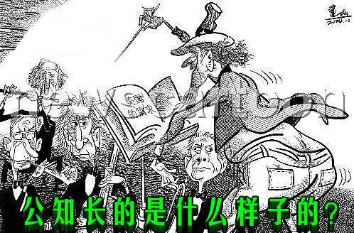 公知长的是什么样子的?