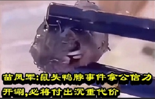 苗凤军：鼠头鸭脖事件拿公信力开涮，必将付出沉重代价