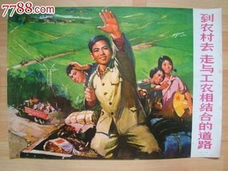 张宏良：知识分子脱离工农必是“臭老九”