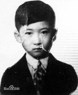 “西安事变”的风云人物杨虎城