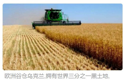 乌克兰是怎么走到今天这步的