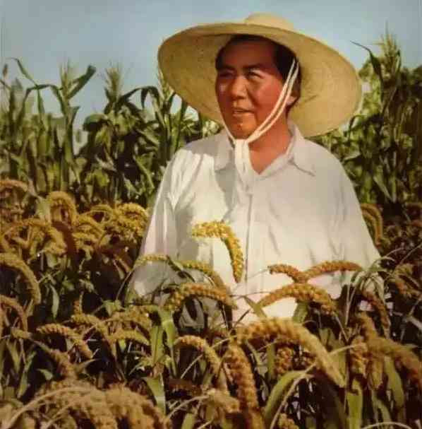 毛主席对战争与和平的思考与应对