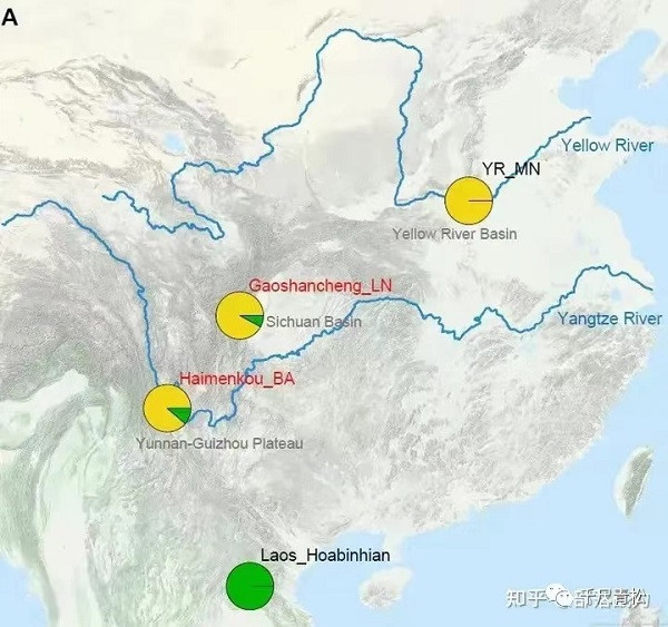 重大发现：三星堆人基因检测结果问世!5000年中华历史将发生大变!