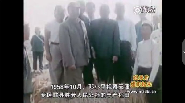 纪录片：组织起来
