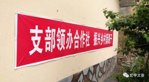 付立勇：《贵州日报》今日刊文：党支部领办合作社是乡村振兴关键一招