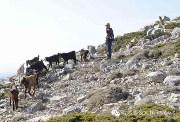 美国扶植伊斯兰国的四大铁证与四大旁证