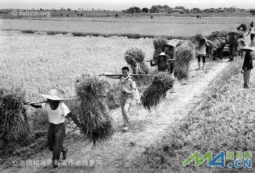 毛主席为何要办“五七”干校