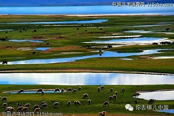 张宏良：目前藏族等少数民族的文明素质确实高于汉族