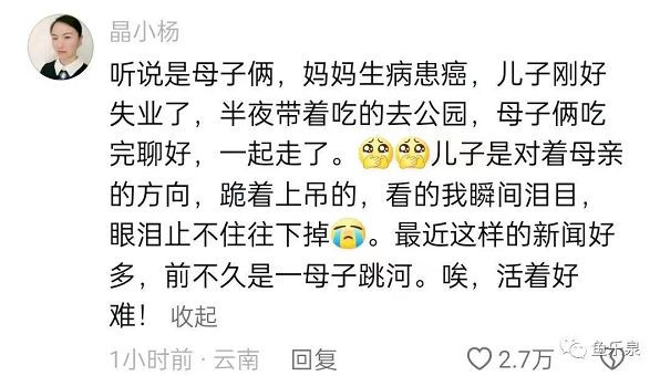 母子上吊自尽，儿子自尽动作令人泪崩