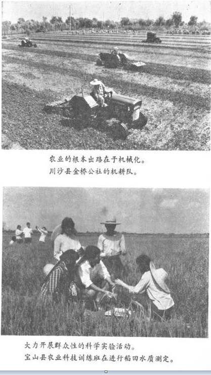 1974年上海郊区农业学大寨，农业要上去，根本在路线