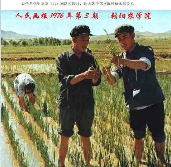 中华民族的子孙应当知道的关于毛主席的十四个谬论