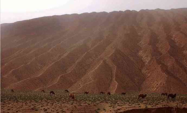 新藏公路——国防公路与中印战争