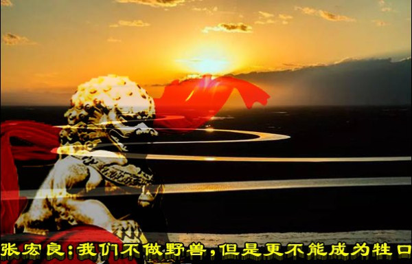 张宏良：我们不做野兽，但是更不能成为牲口