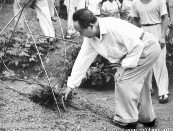 新中国工业革命与世界工业化回眸（四）