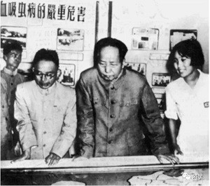 李克勤：毛主席指挥消灭血吸虫的第一战场在哪？