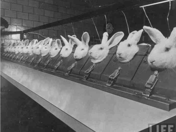 新中国工业革命与世界工业化回眸（五）