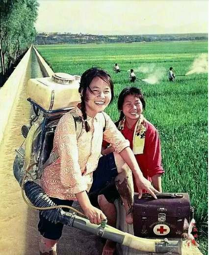  胡新民：赵树理、巴金、秦牧和杨等作家笔下的五六十年代中国