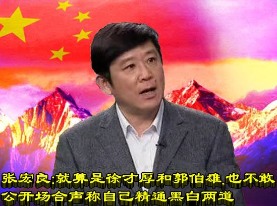 张宏良:就算是徐才厚和郭伯雄,也不敢公开场合声称自己精通黑白两道-民族复兴网