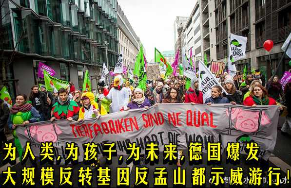 为人类，为孩子，为未来，德国爆发大规模反转基因反孟山都示威游行！