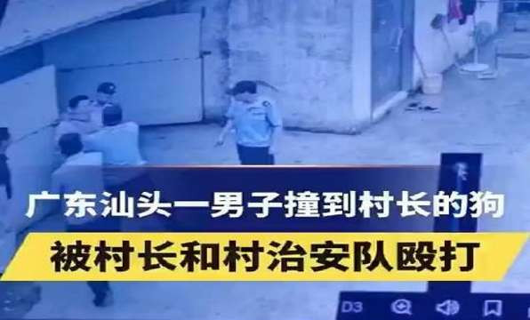 陈曾明丨人不如狗：恶霸是怎样长成的？