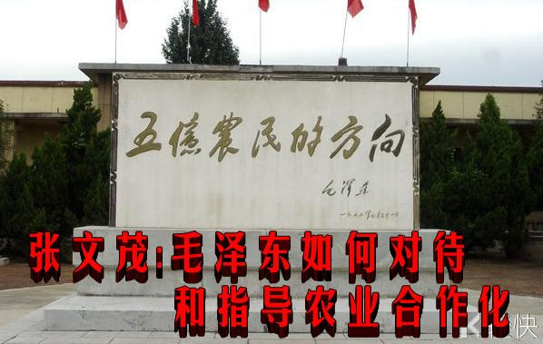 张文茂：毛泽东如何对待和指导农业合作化