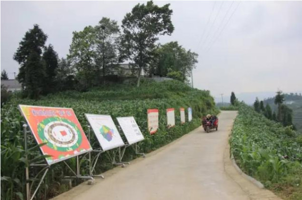 【全国各地学塘约】来自贵州毕节脱贫攻坚前线的消息