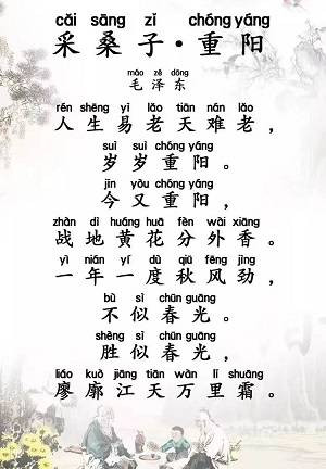 一年一度秋风劲，重阳想念毛主席