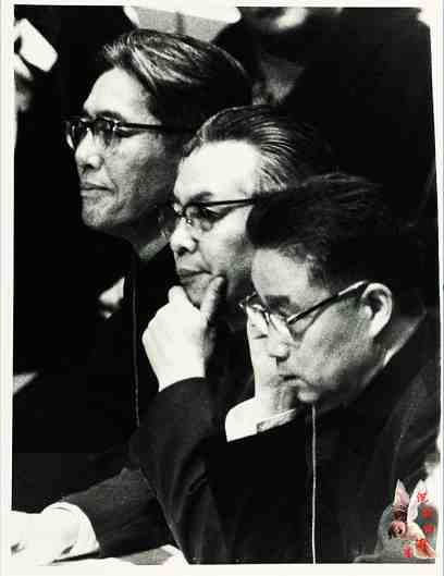 中华民族的子孙应当知道的关于毛主席的十四个谬论