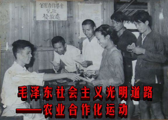 毛泽东社会主义光明道路——农业合作化运动