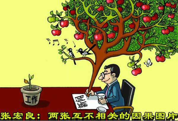 张宏良：两张互不相关的因果图片