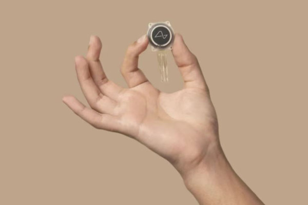 关于论述无产阶级向无用阶级的转变