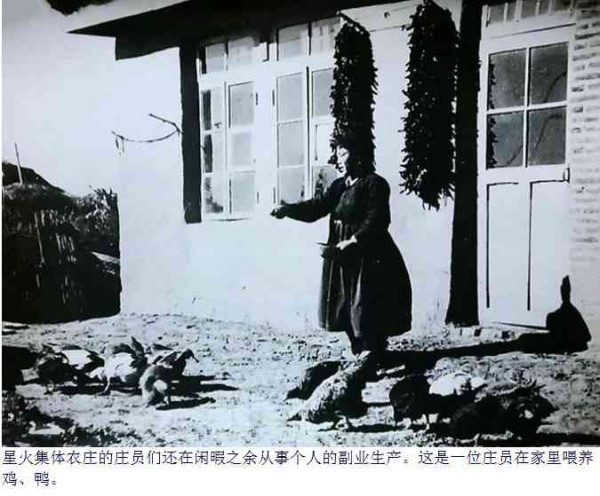图集：新中国第一个集体农庄——星火集体农庄