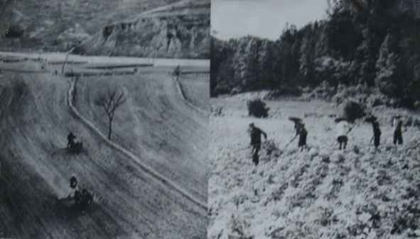 毛泽东社会主义光明道路——农业合作化运动