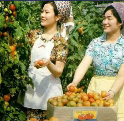 美国和朝鲜，谁才是流氓政权？