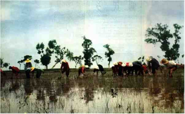 激情岁月！共和国留下父辈们创业的足印（4）