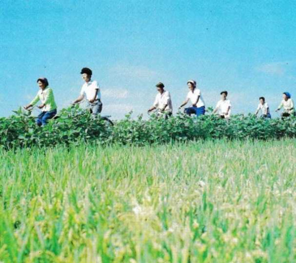 70年代朝鲜老照片