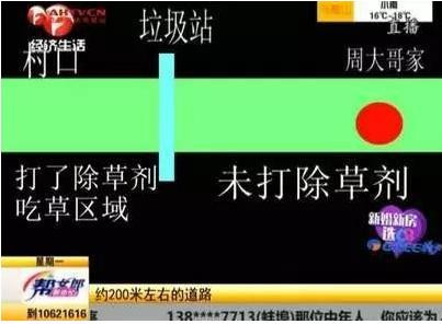  安徽一农家的羊一只接一只死亡, 原来真凶是……