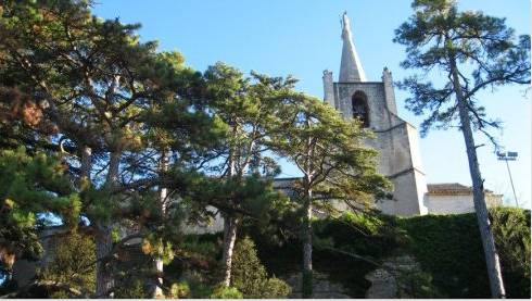 蔡慎坤：王健出事是意外还是巧合？