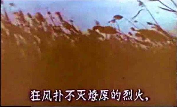 论共产党与群众关係问题 洪湖赤卫队